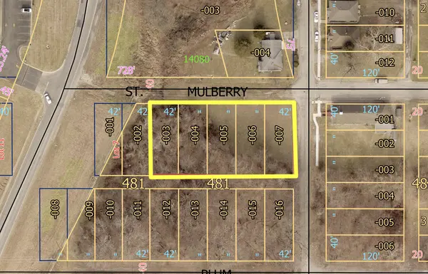 401 Mulberry ST, Murphysboro, IL 62966