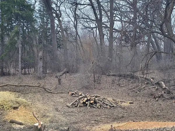 Lot 1 Asbury AVE, Fox River Grove, IL 60021