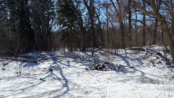 LOT 2 Asbury AVE, Fox River Grove, IL 60021