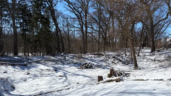 LOT 2 Asbury AVE, Fox River Grove, IL 60021