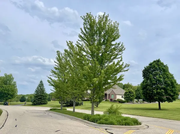 7389 English Oak LN, Spring Grove, IL 60081