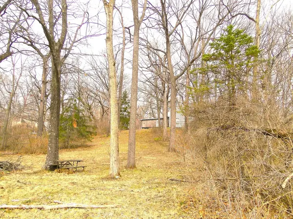 20915 W Walton RD, Wilmington, IL 60481
