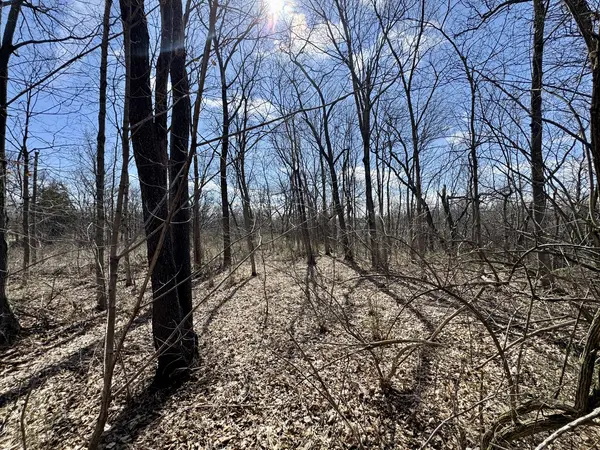 0 1725 E ST, Tiskilwa, IL 61368