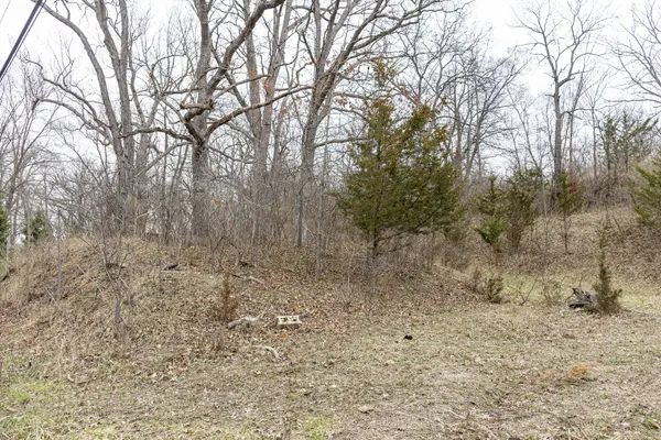 LOT 19 & LOT 18 Williams RD, Lake Marian, IL 60110