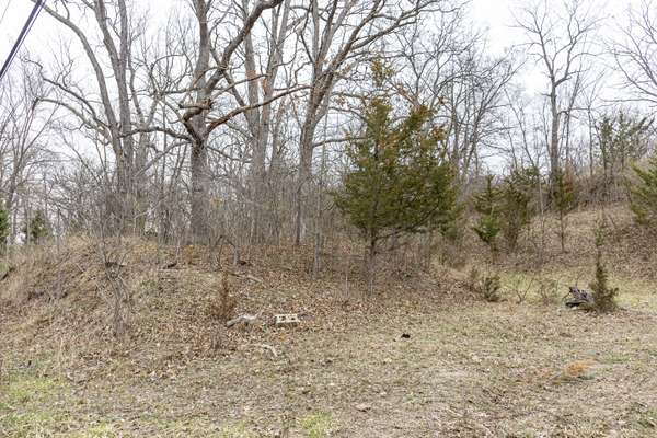 LOT 19 & LOT 18 Williams RD, Lake Marian, IL 60110