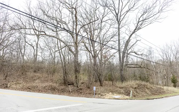 LOT 19 & LOT 18 Williams RD, Lake Marian, IL 60110