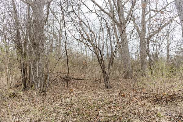 LOT 19 & LOT 18 Williams RD, Lake Marian, IL 60110