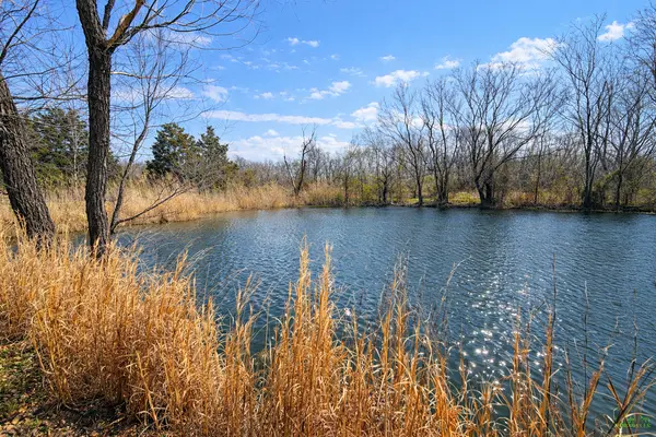 2041 mills cart RD, Salem, IL 62881