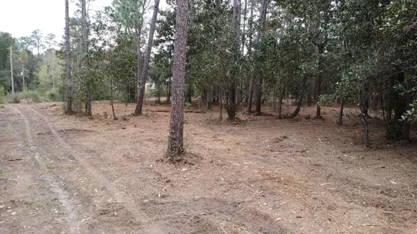 Lot 10 Baldwin ST, Perdido Beach, AL 36530