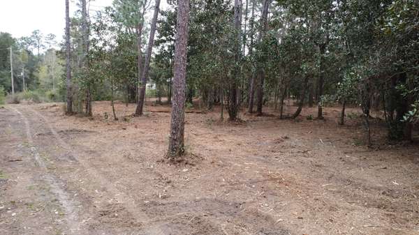 Lot 10 Baldwin ST, Perdido Beach, AL 36530