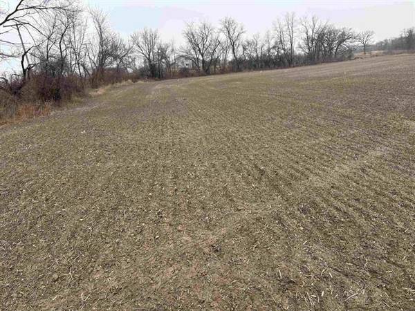 XXXX Il Rt 173, Harvard, IL 60033