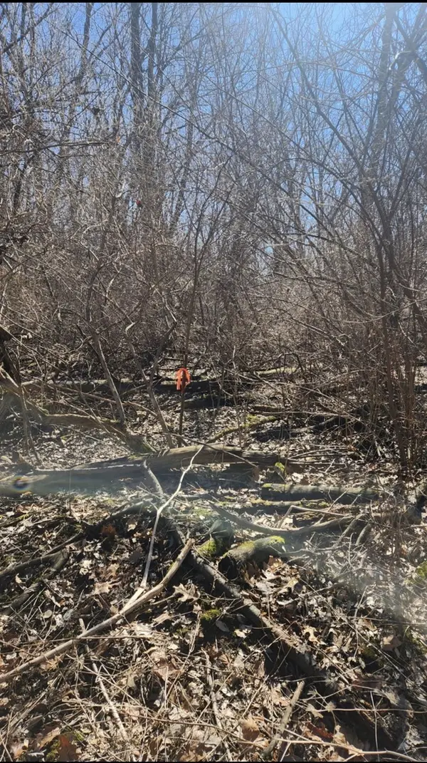 Address not disclosed, Putnam, IL 61560