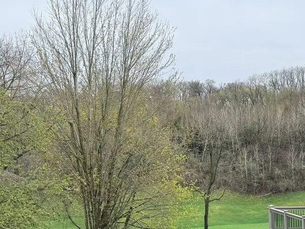10 Linden CT, Galena, IL 61036