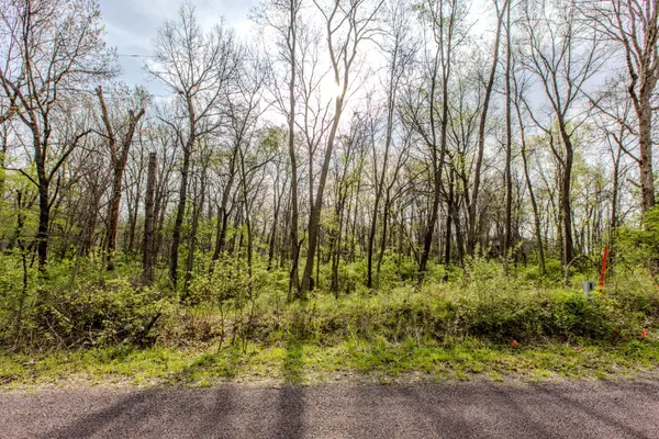 56, 57 Summit DR, Mackinaw, IL 61755