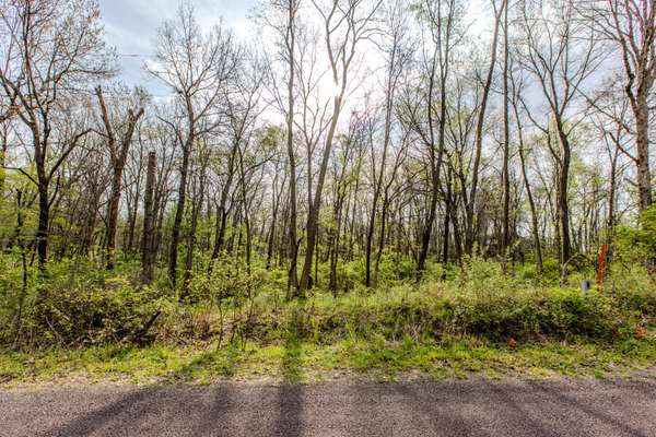 56,57 Summit DR, Mackinaw, IL 61755