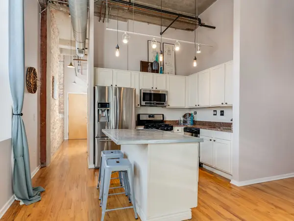 1735 N Paulina ST #322, Chicago, IL 60622