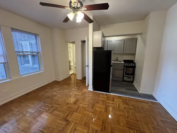 1100 N La Salle DR #720, Chicago, IL 60610
