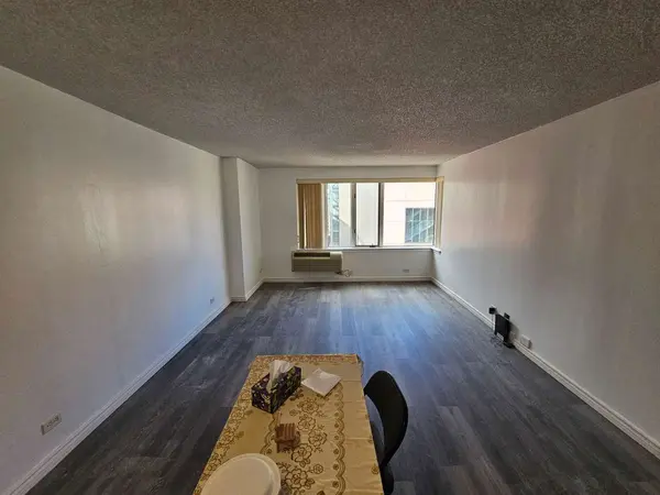 801 S Plymouth CT #1111, Chicago, IL 60605