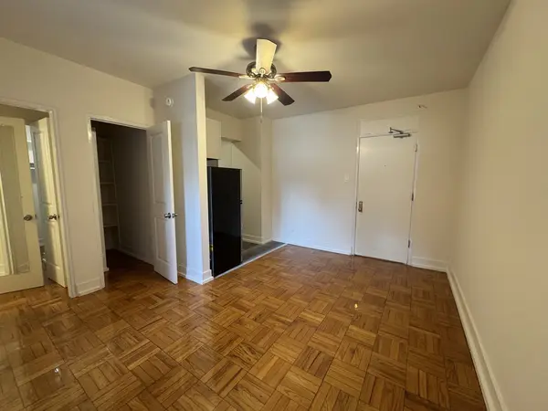 1100 N La Salle DR #420, Chicago, IL 60610