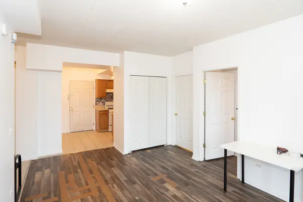 2734 S Wentworth AVE #311, Chicago, IL 60616
