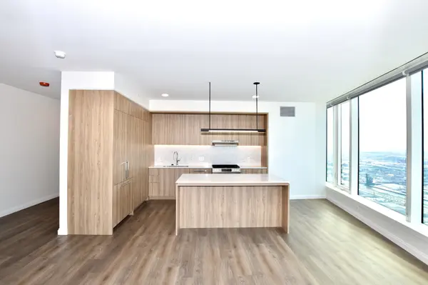 1000 S Michigan AVE #5901, Chicago, IL 60605