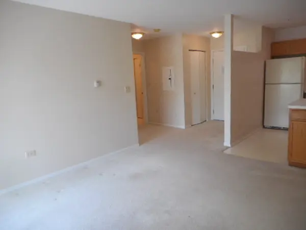 605 Barrington AVE E #340, Dundee, IL 60118