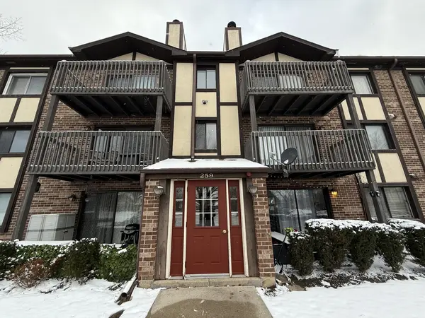 259 Stoneybrook LN #2B, Bloomingdale, IL 60108