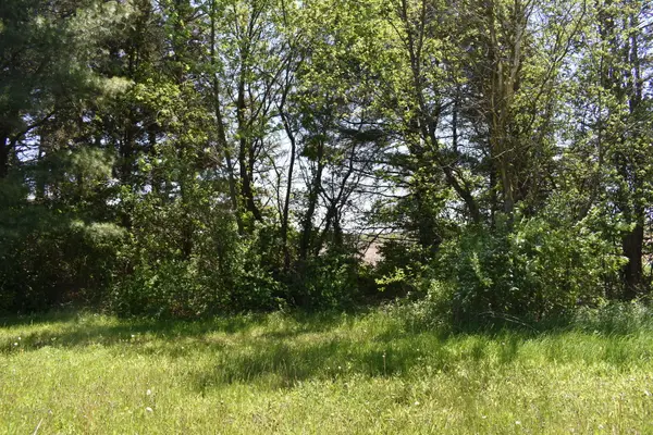 14119 W Maple RD, Mokena, IL 60448