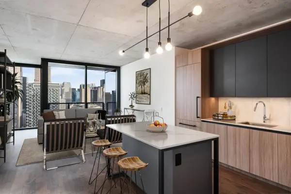 234 W Polk ST #3906, Chicago, IL 60607