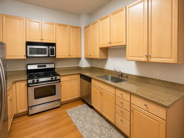 1111 S Wabash AVE #2904, Chicago, IL 60605