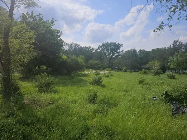 24232 S Kings RD, Crete, IL 60417