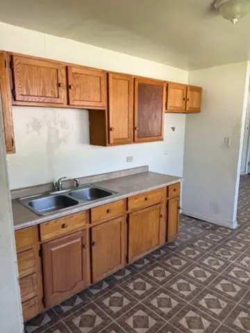 3231 Roesner DR, Markham, IL 60428