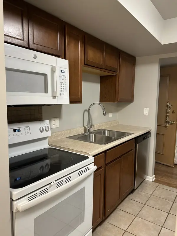 207 W Park AVE #204, Libertyville, IL 60048