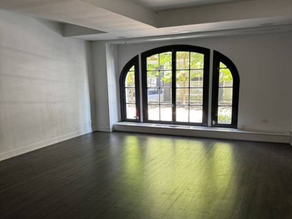 257 E Delaware PL #1A2A, Chicago, IL 60611