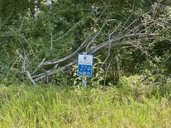 Lot 273 & 274 Rocky Point RD, Goreville, IL 62939