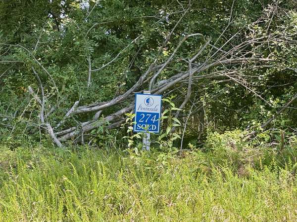Lot 273 & 274 Rocky Point RD, Goreville, IL 62939