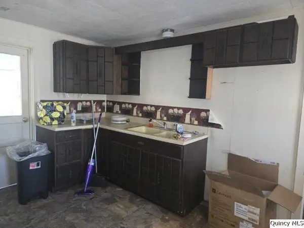 65 E 3rd ST, Dallas City, IL 62330