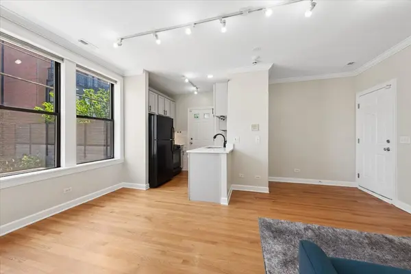 741 W Cornelia AVE #N1, Chicago, IL 60657
