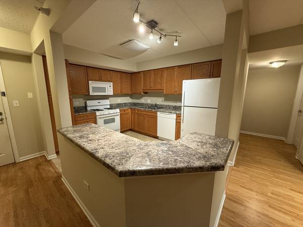 390 S Western AVE #402, Des Plaines, IL 60016