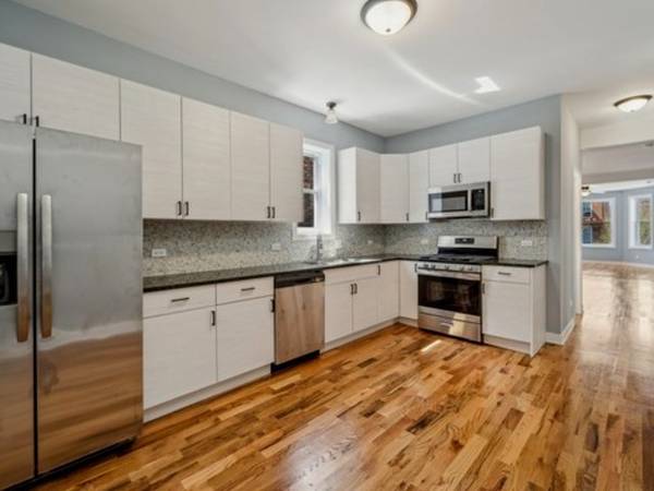 539 N Trumbull AVE, Chicago, IL 60624