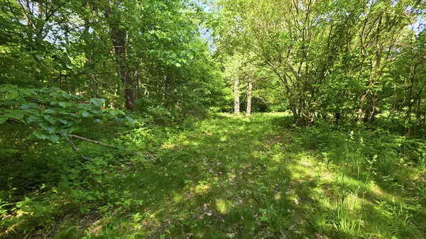 Lot 13 S Egyptian Trail, Monee, IL 60449