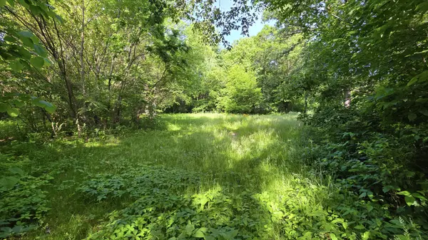 Lot 13 S Egyptian Trail, Monee, IL 60449