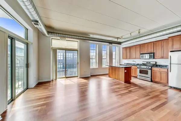 1919 S Michigan AVE #302, Chicago, IL 60616