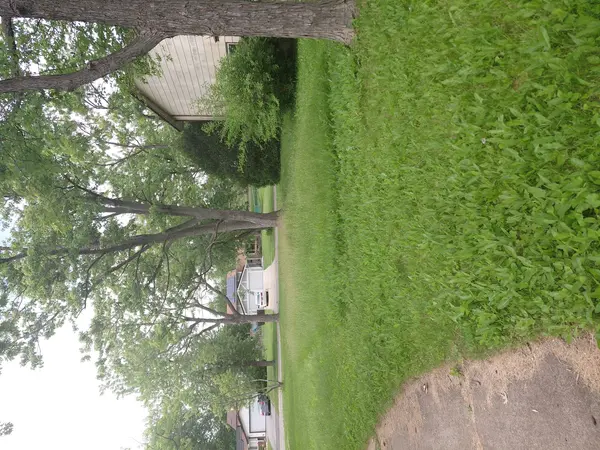 1029 Ashridge LN, University Park, IL 60466