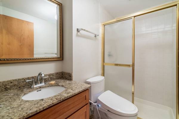 604 S Laflin ST, Chicago, IL 60607
