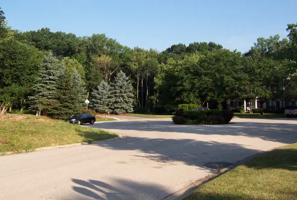 17220 Oak Meadow #5 Oak Meadow Court CT, Homer Glen, IL 60491