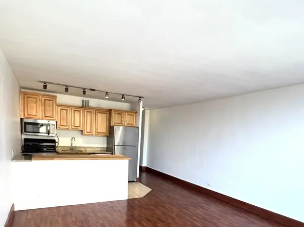 2400 N Lakeview AVE #402, Chicago, IL 60614
