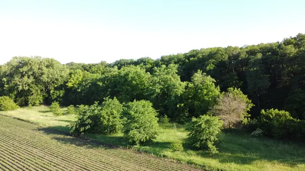 02 County Road 525N, El Paso, IL 61738