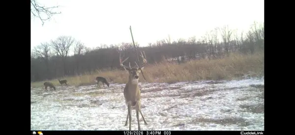 02 County Road 525N, El Paso, IL 61738