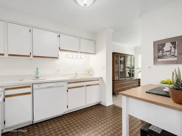 1001 N Mill ST #311, Naperville, IL 60563